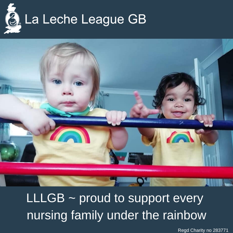 Photo of children with caption “LLLGB ~ Proud to support every nursing family under the rainbow”